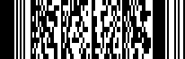 54_2d-codes_pdf417