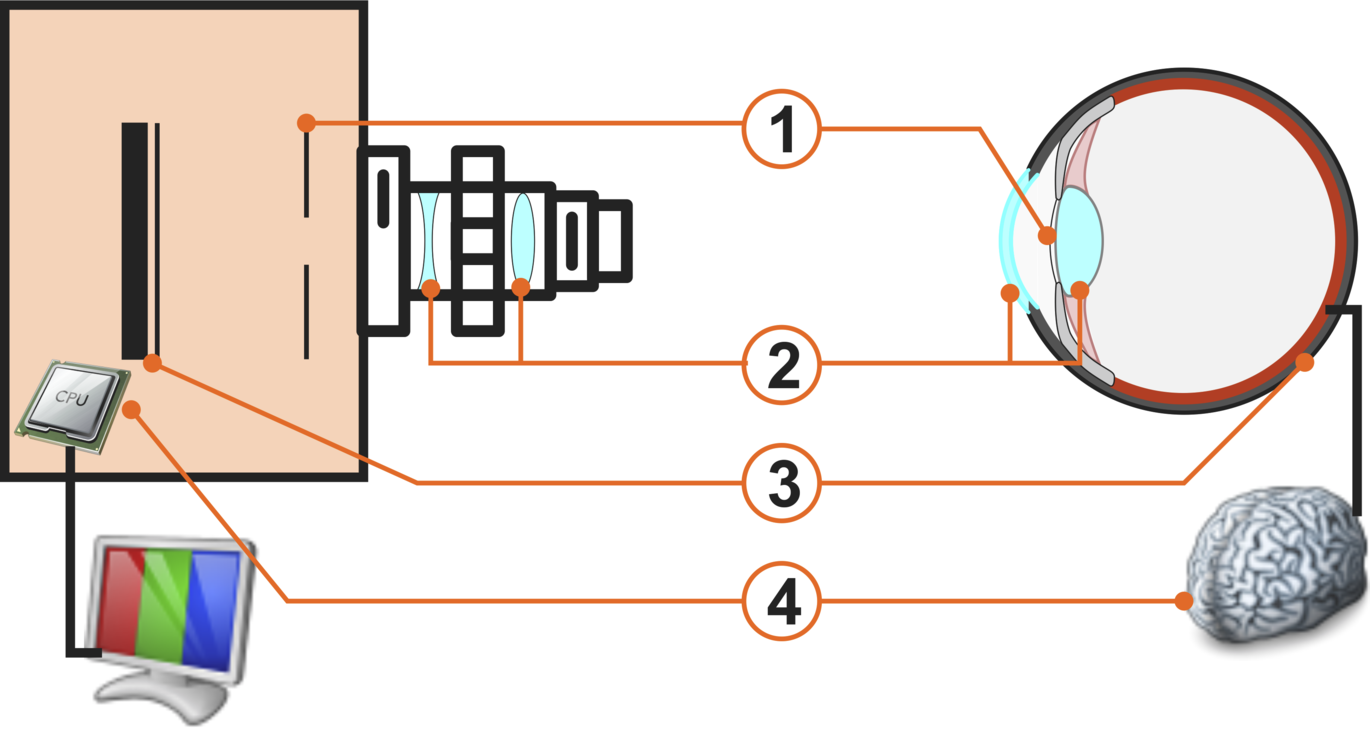 auge vs cmos sensor