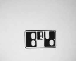 vf_bildeinzug - mirrorx_0_mirrory_1_256x205