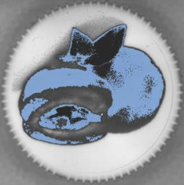 pixelcounter_blaueled_bild1