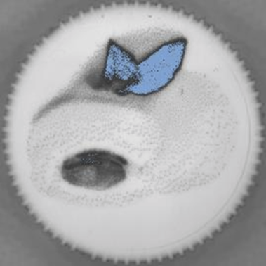 pixelcounter_roteled_bild1