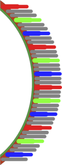 retinaz-c3-a4pfchenst-c3-a4bchen